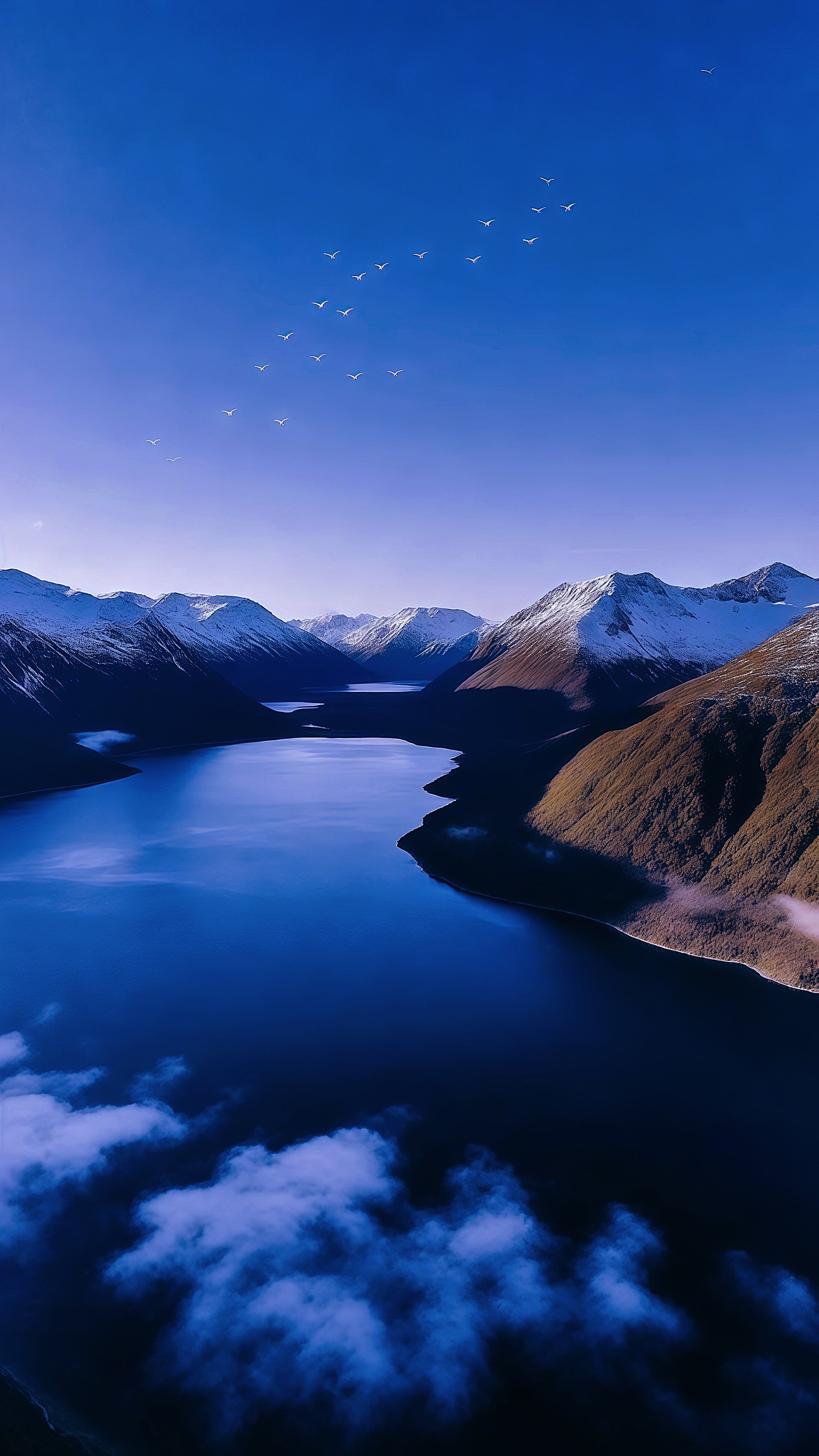 Aerial Snowy Mountains Blue Fjord Birds Wallpaper