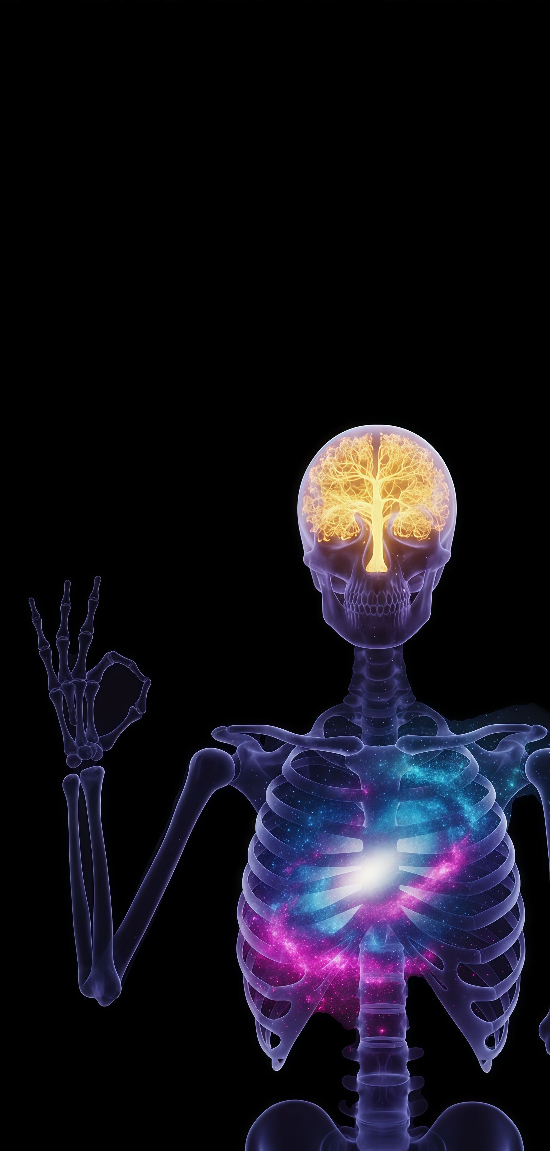 Enlightened Skeleton Meditation X-Ray Wallpaper