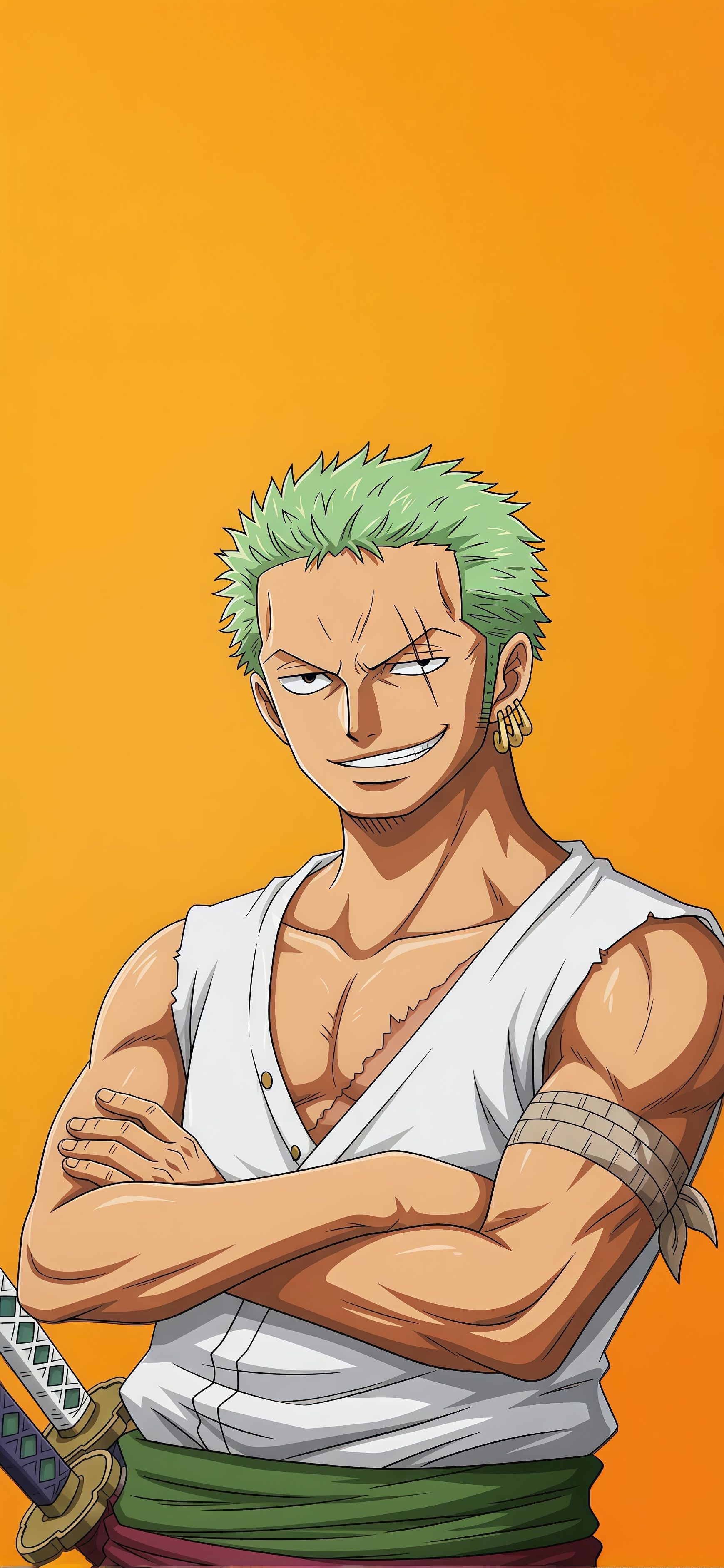 One Piece Roronoa Zoro Swordsman Wallpaper