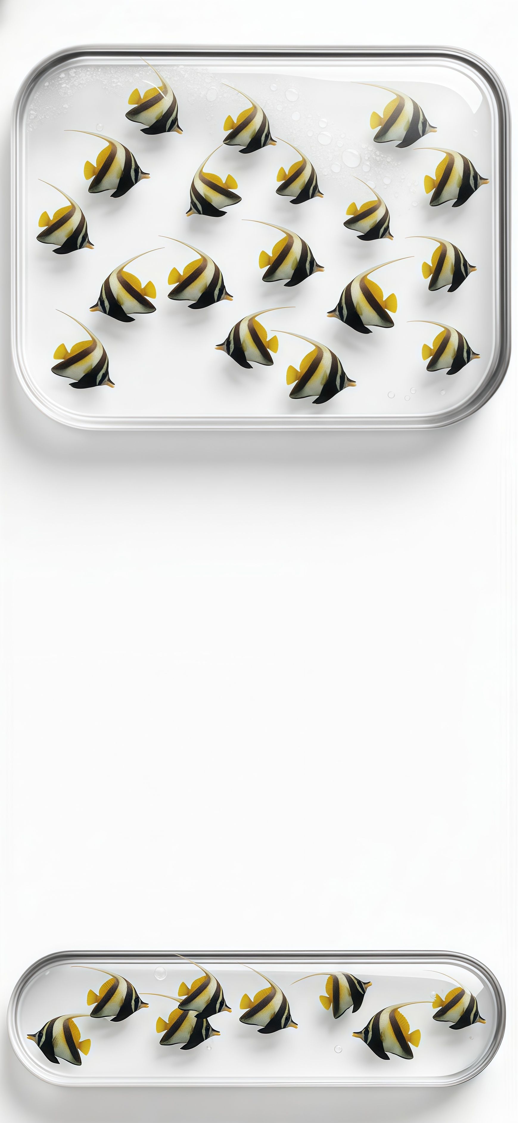 Striking Black and Yellow Moorish Idol Wallpaper