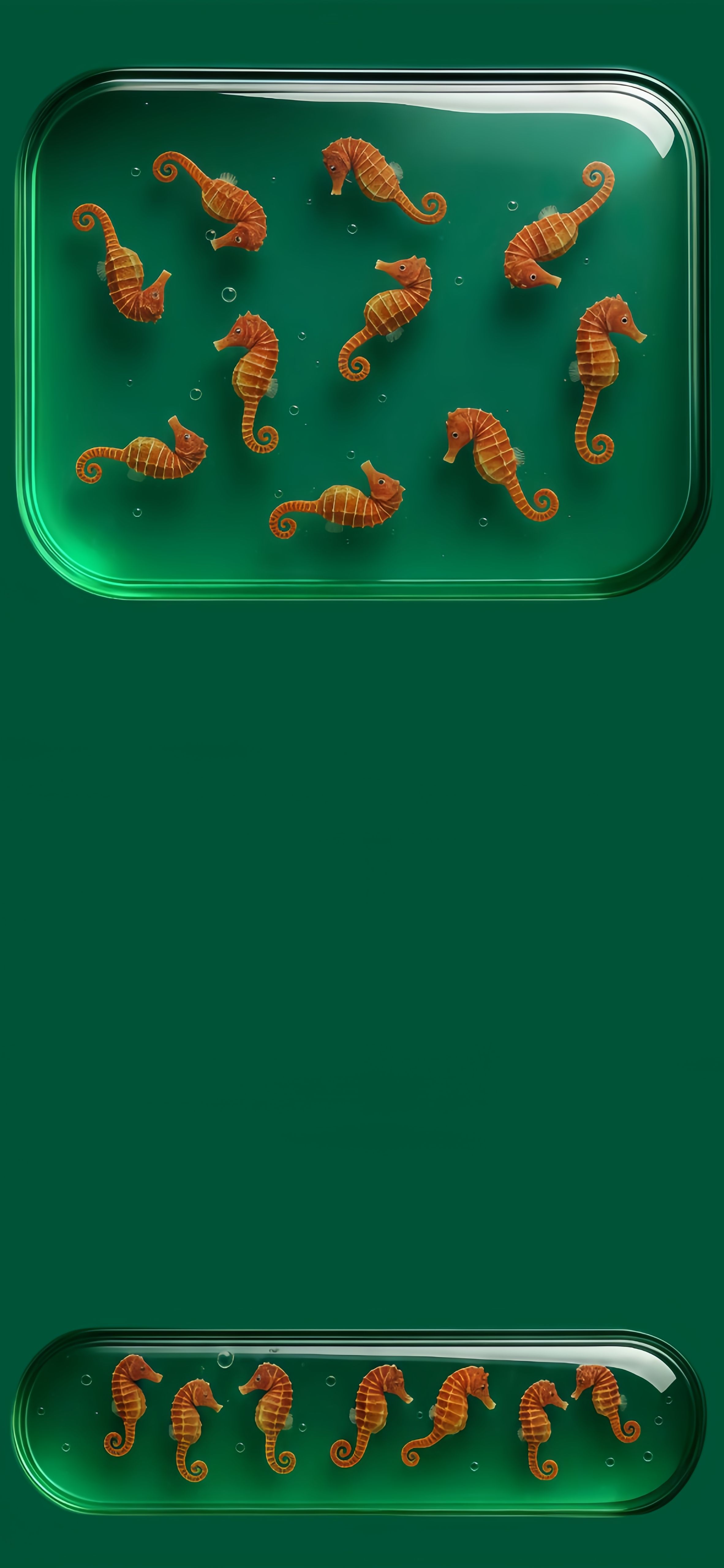 Whimsical Orange Seahorse Marine Life Wallpaper