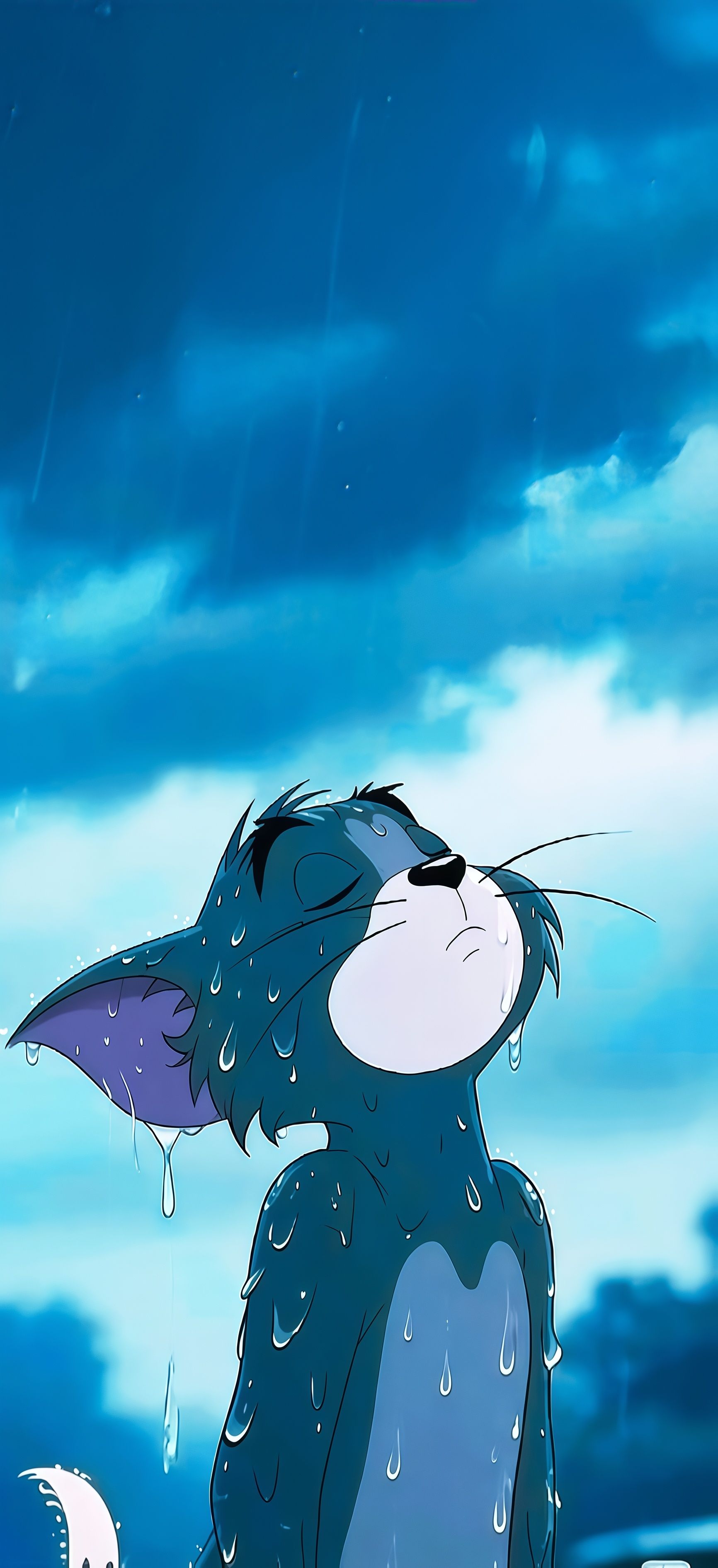 Sad Tom in the Rain Wallpaper