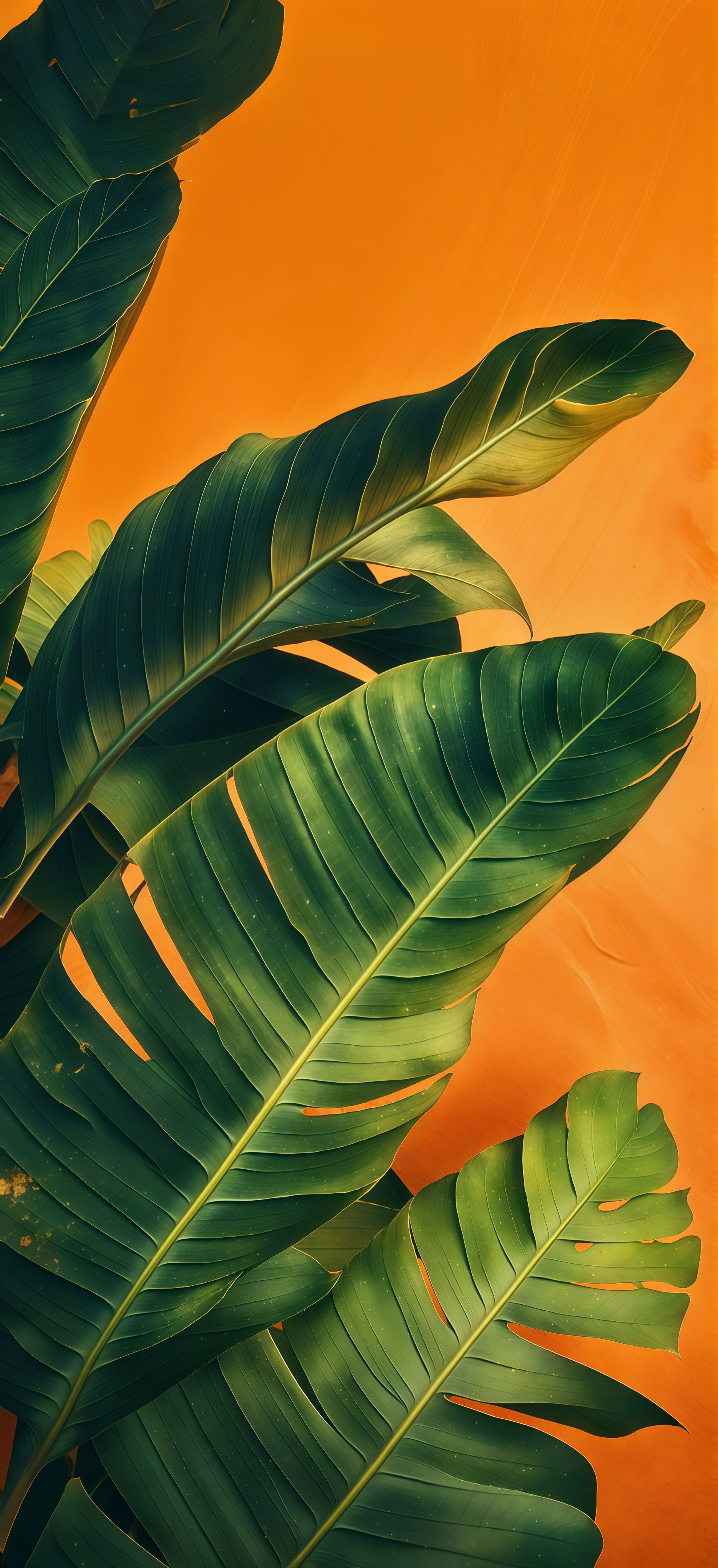 Tropical Green Leaves Wallpaper