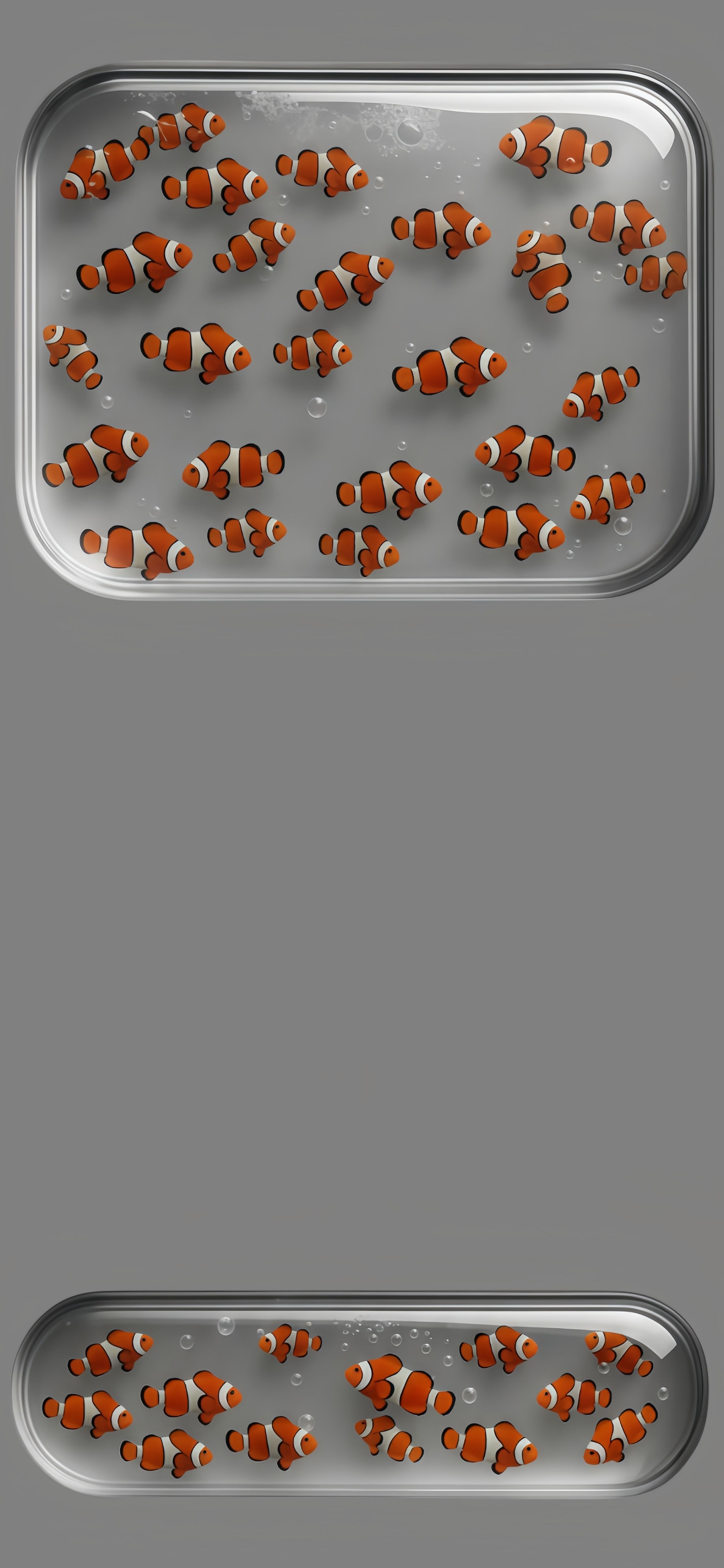 Vibrant Ocellaris Clownfish Tank Wallpaper